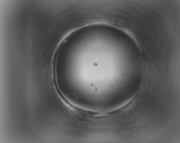 X0000067831151200604201209