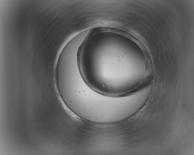 X0000067831152200604201209