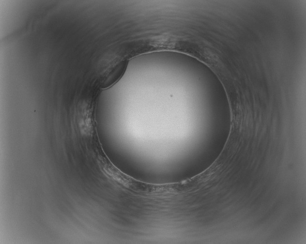 X0000067831154200604201208