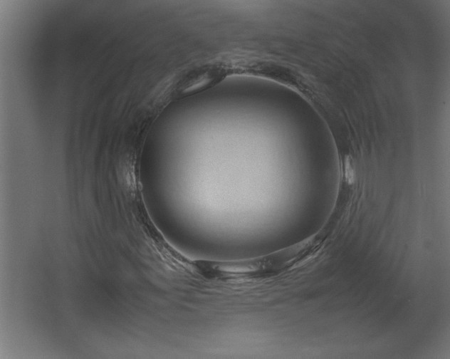 X0000067831155200604201208