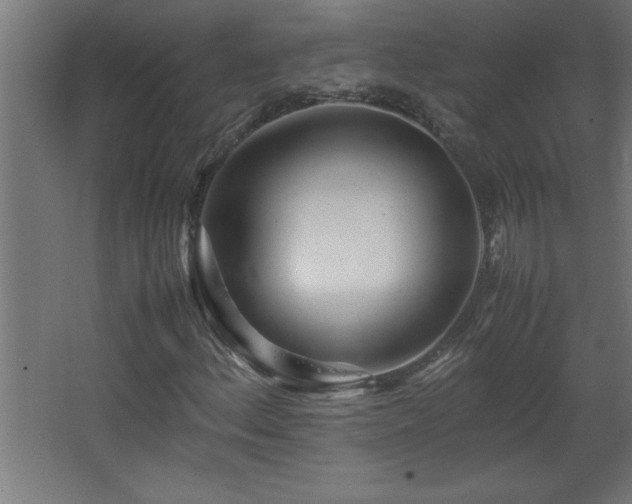 X0000067831156200604201208