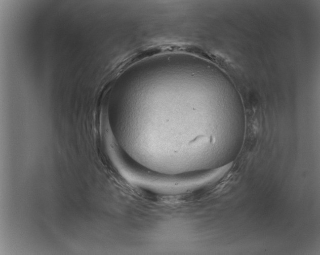 X0000067831157200604201208