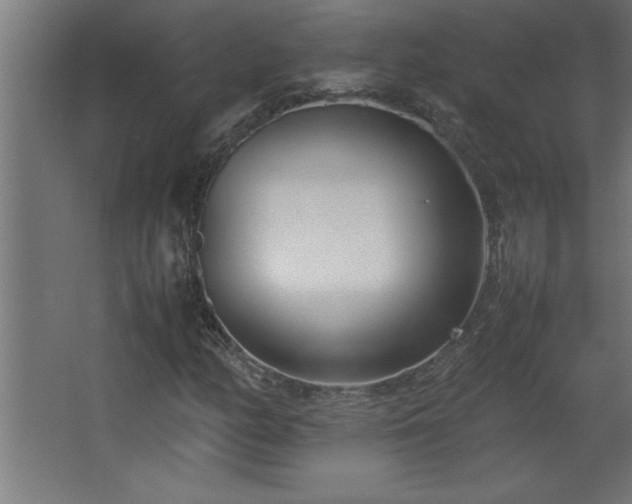 X0000067831158200604201208