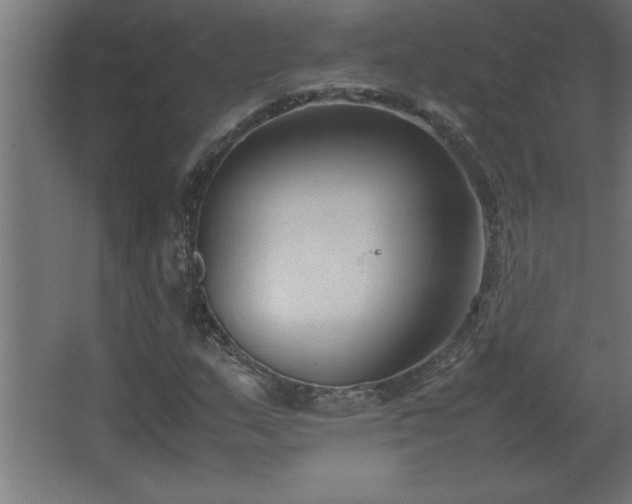 X0000067831159200604201208