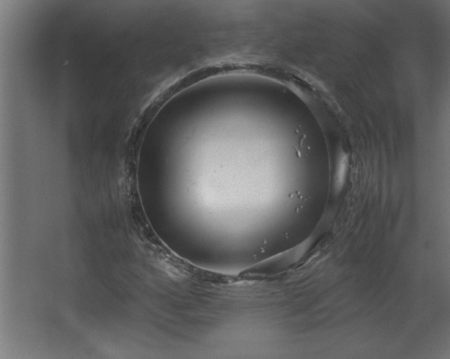 X0000067831160200604201208