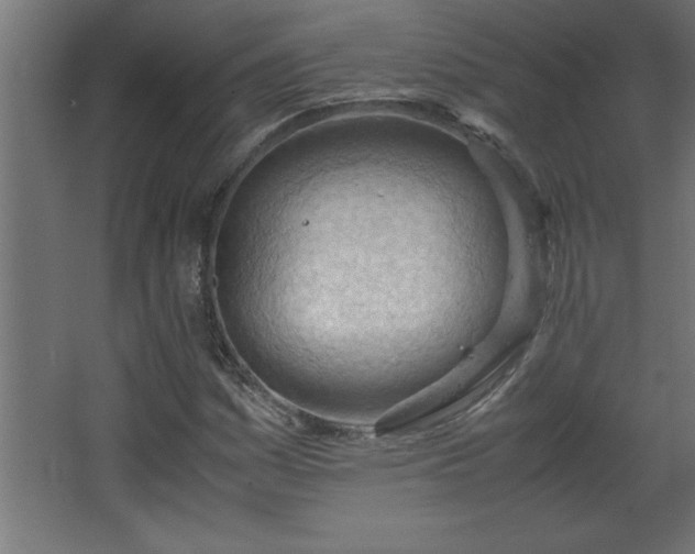 X0000067831161200604201208