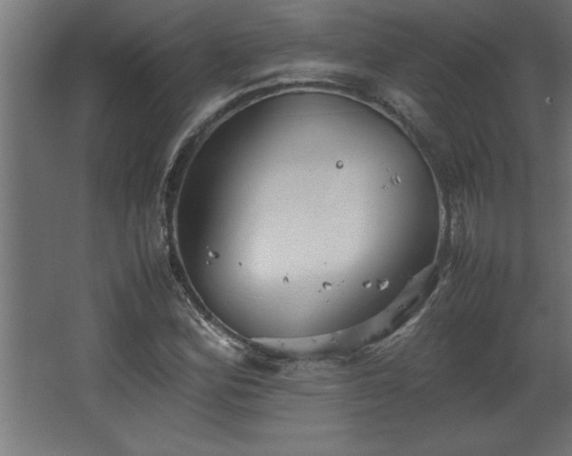 X0000067831164200604201208