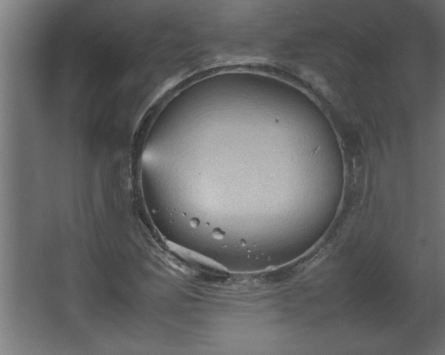 X0000067831165200604201208