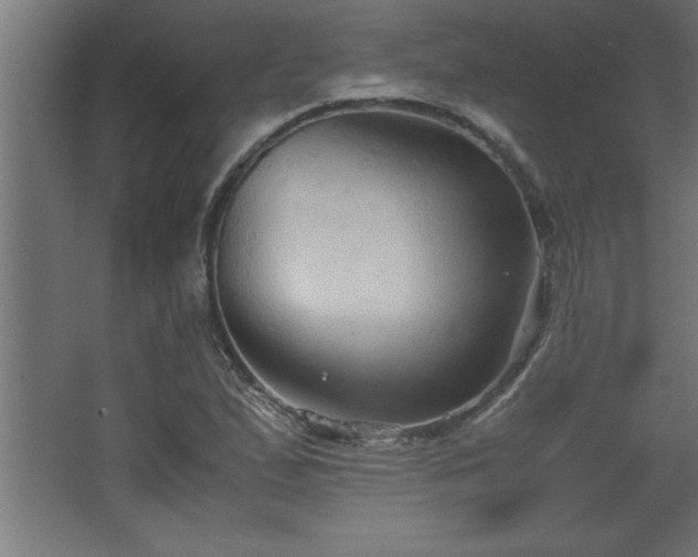 X0000067831167200604201208