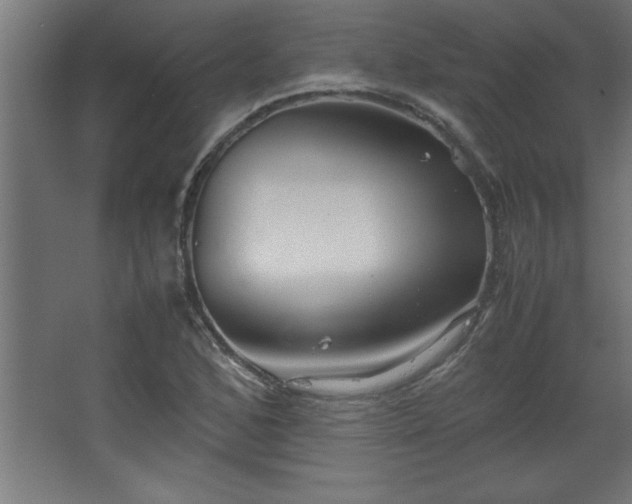 X0000067831168200604201208