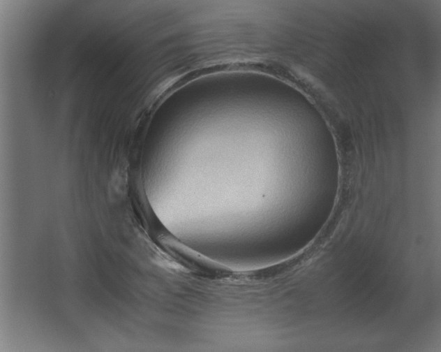 X0000067831169200604201208