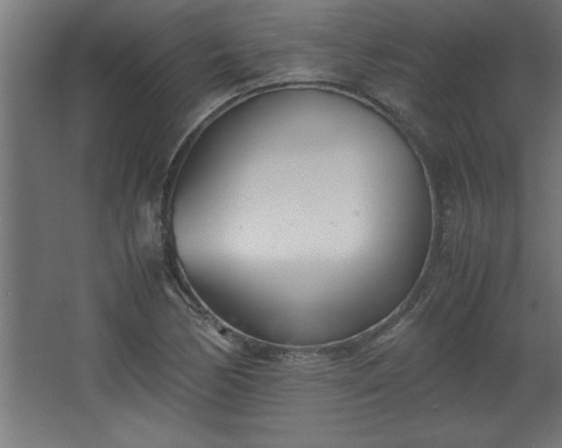 X0000067831170200604201208