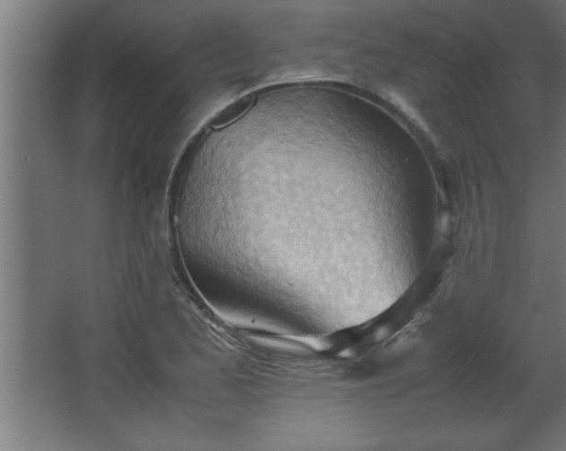 X0000067831173200604201208