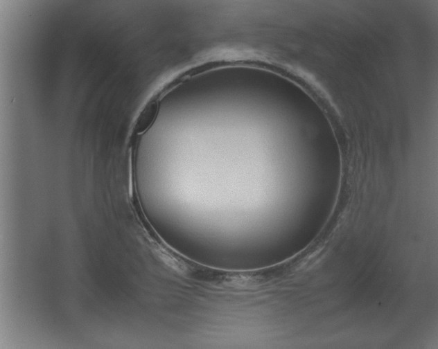 X0000067831175200604201208