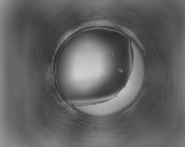 X0000067831176200604201208