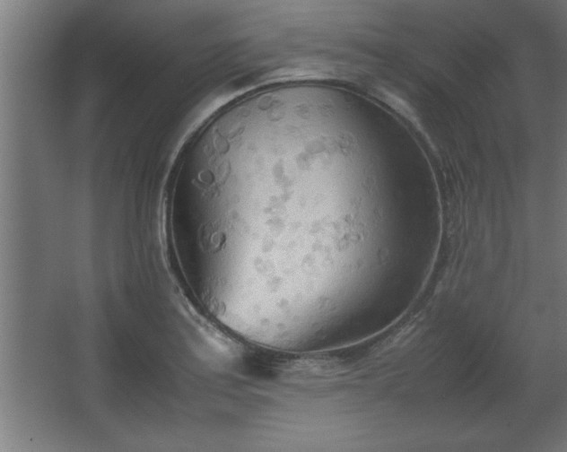 X0000067831179200604201207