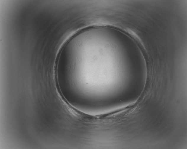 X0000067831183200604201207