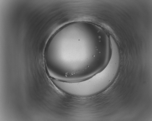 X0000067831184200604201207