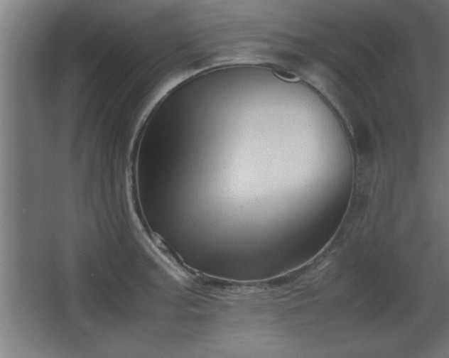 X0000067831187200604201207