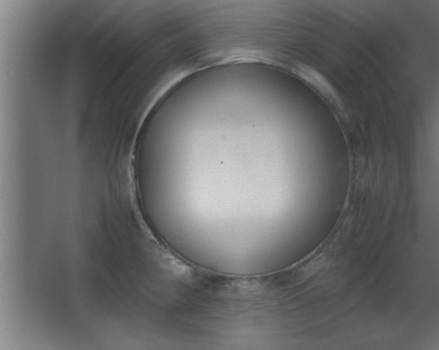 X0000067831190200604201207