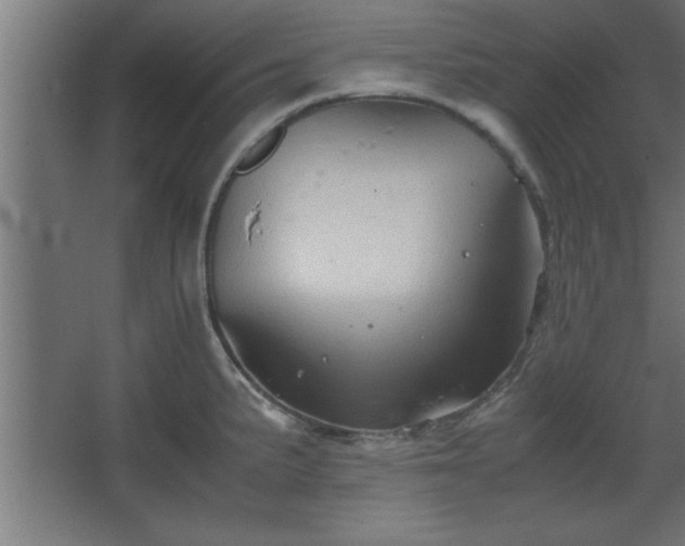 X0000067831191200604201207