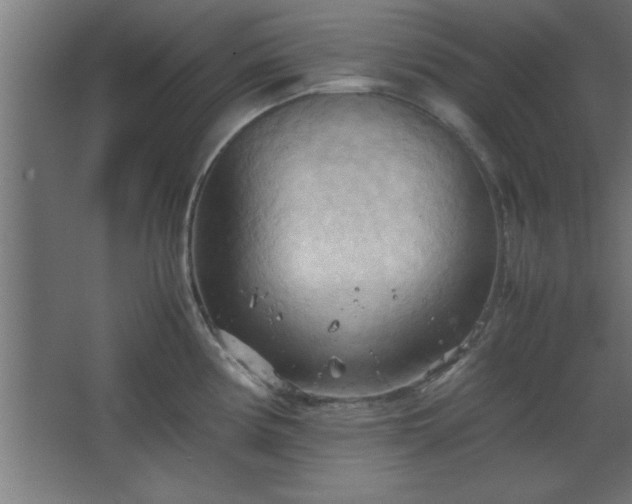 X0000067831194200604201207