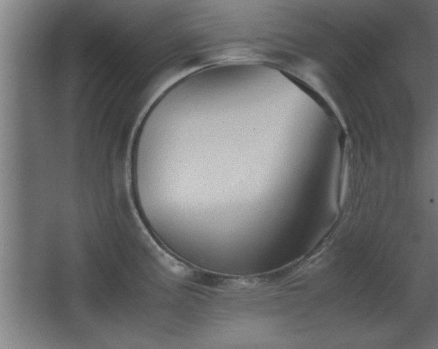 X0000067831195200604201207