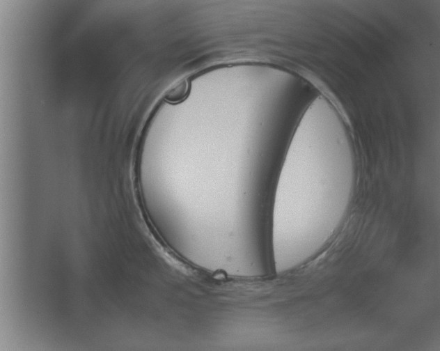 X0000067831197200604201207