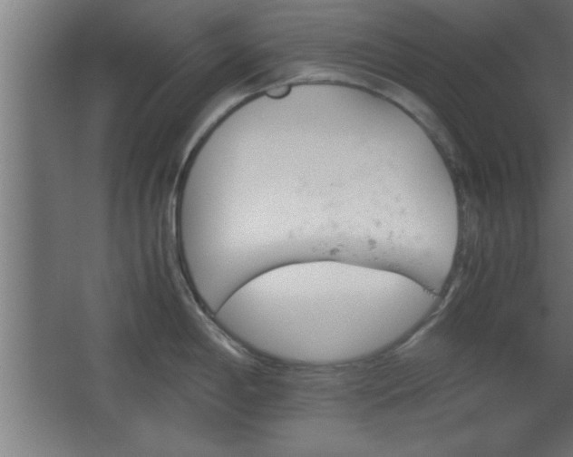 X0000067831198200604201207