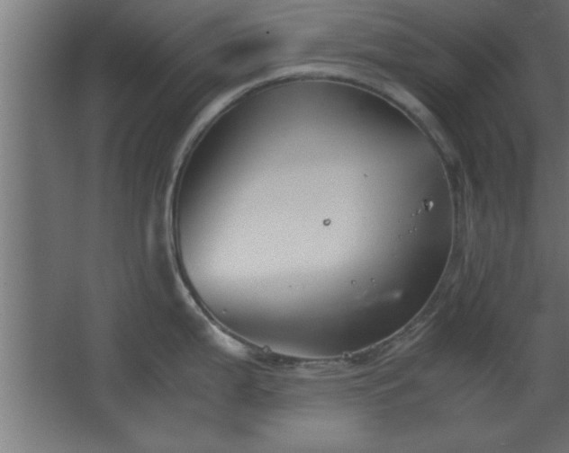 X0000067831199200604201207