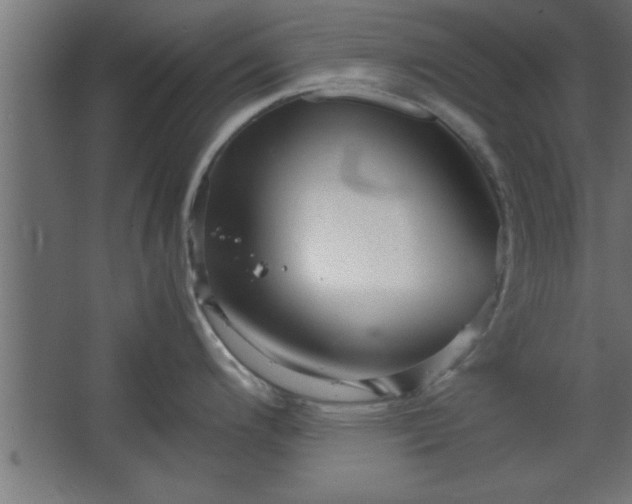 X0000067831200200604201207