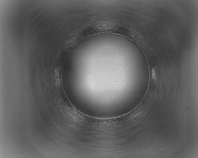 X0000067831203200604201206