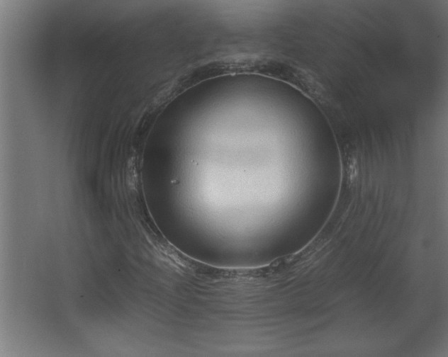 X0000067831204200604201206