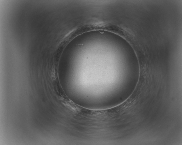 X0000067831205200604201206