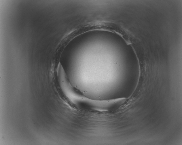 X0000067831206200604201206