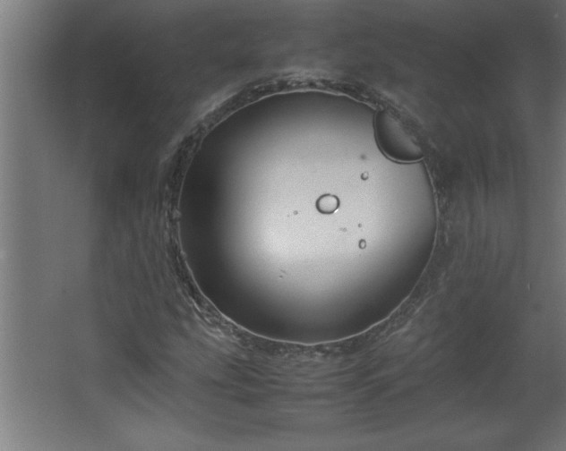 X0000067831207200604201206