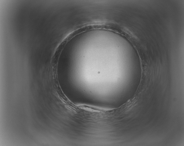 X0000067831208200604201206