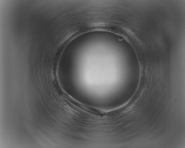 X0000067831209200604201206