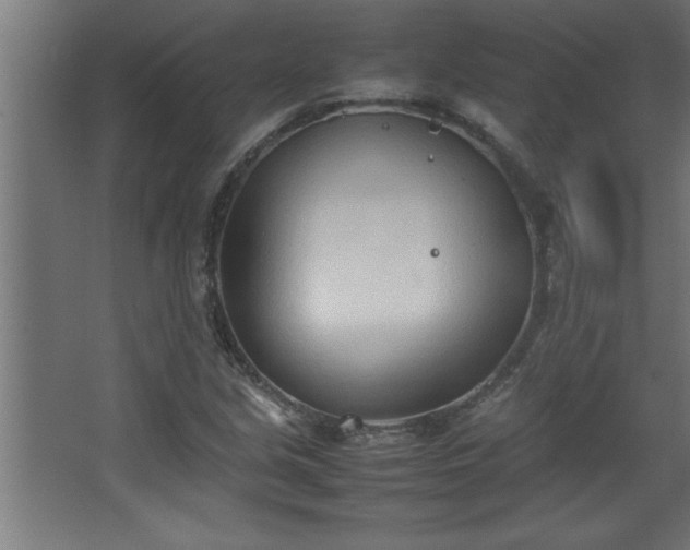 X0000067831213200604201207