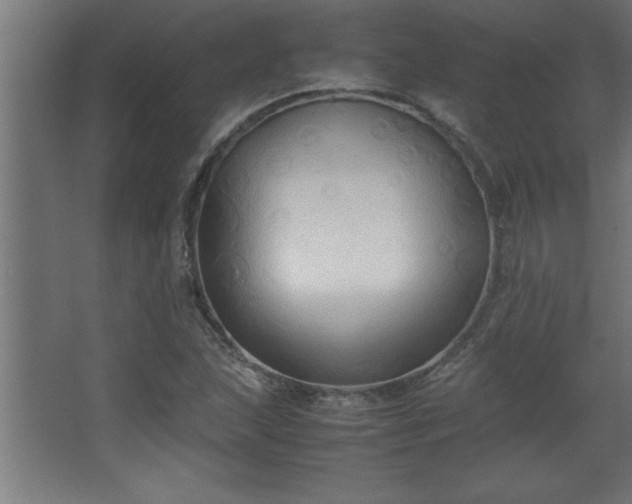 X0000067831215200604201207