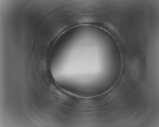 X0000067831217200604201207