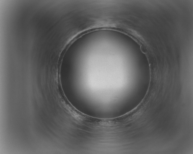 X0000067831220200604201207