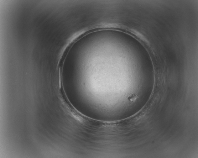 X0000067831223200604201207