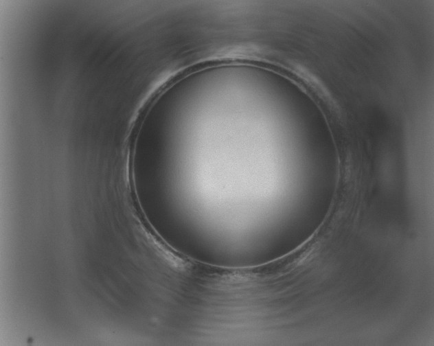 X0000067831224200604201207