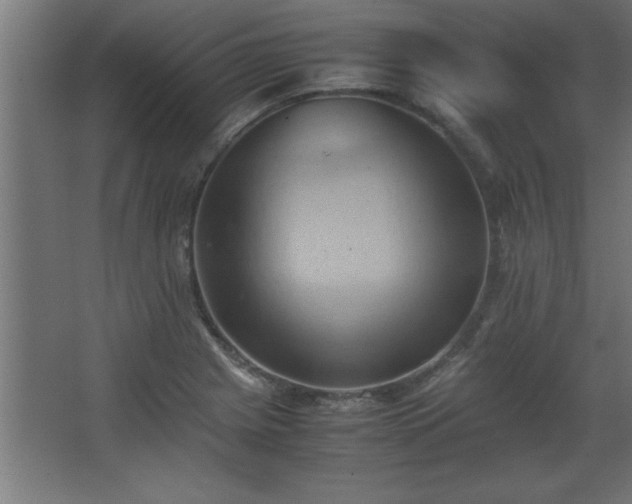 X0000067831225200604201207