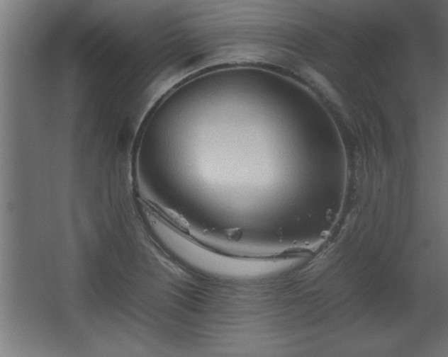 X0000067831226200604201207