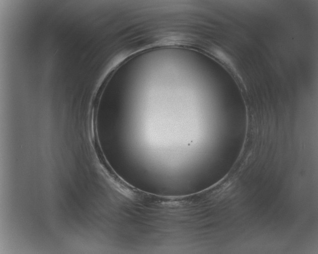 X0000067831227200604201207