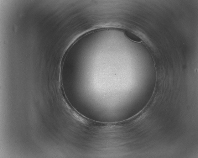 X0000067831228200604201207