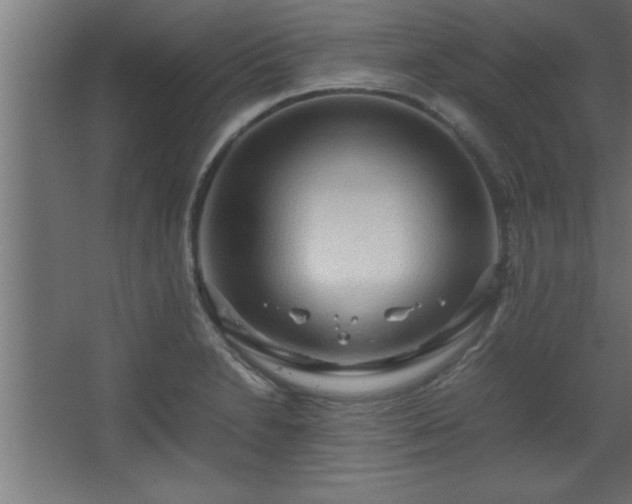 X0000067831230200604201207