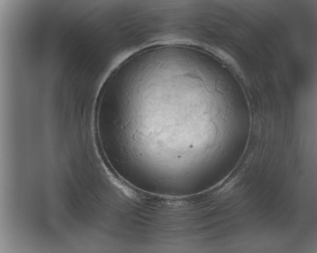 X0000067831231200604201207